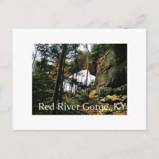Gray's Arch, KY Briefkaart