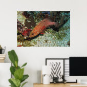 Graysby Poster (Thuiskantoor)