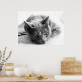 Grayscale Cat Poster (Keuken)