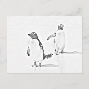 Grayscale Coloring Penguins Antarctisch Briefkaart