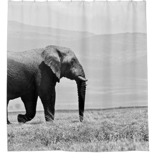 GRAYSCALE FOTOGRAFIE VAN ELEPHANT DOUCHEGORDIJN (Voorkant)