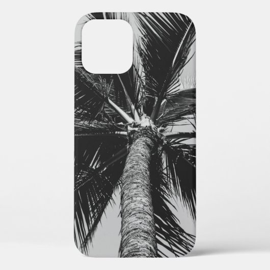 GRAYSCALE LAGE HOOGHOTOGRAFIE VAN DE KOOPPUNTE PAL Case-Mate iPhone CASE (Achterkant)