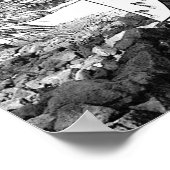 Grayscale Natuur vrouwen bomen kleuren Poster (Hoek)