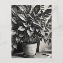 Grayscale pot plant met enorme bladeren