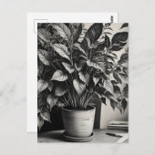 Grayscale pot plant met enorme bladeren briefkaart (Voorkant / Achterkant)
