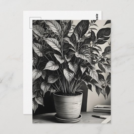 Grayscale pot plant met enorme bladeren briefkaart (Voorkant / Achterkant)