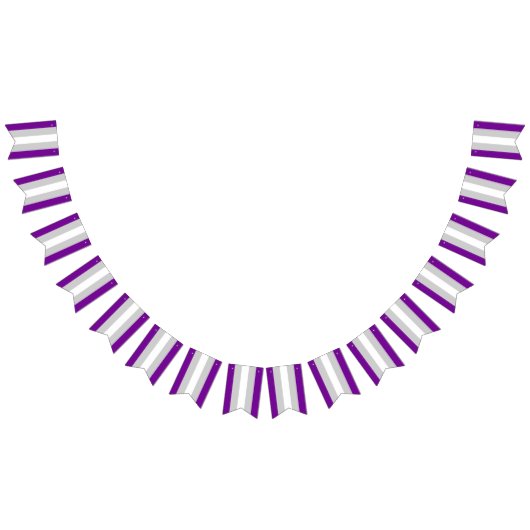 Graysexual Pride Drapeau Bannière de Bunting Parti (Tout)