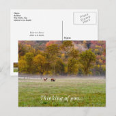 Grazende Elk paar denken aan je Briefkaart (Voorkant / Achterkant)