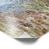 Grazende herten met gewei Foto Foto Afdruk (Hoek)