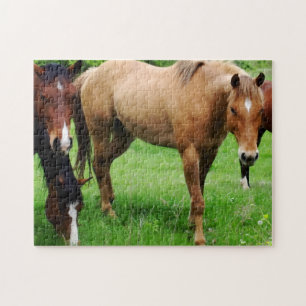 grazende paarden puzzel