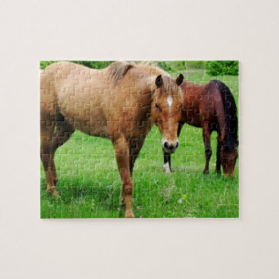 Grazende paarden Puzzle Legpuzzel