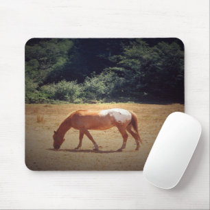 Grazende Palomino.... Muismat