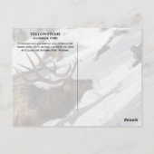 Grazende Wapitiherten, Winter, Yellowstone NP Briefkaart (Achterkant)