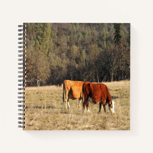 Grazin'.... Notitieboek (Voorkant)