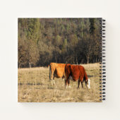 Grazin'.... Notitieboek (Achterkant)