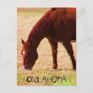 Grazing Briefkaart