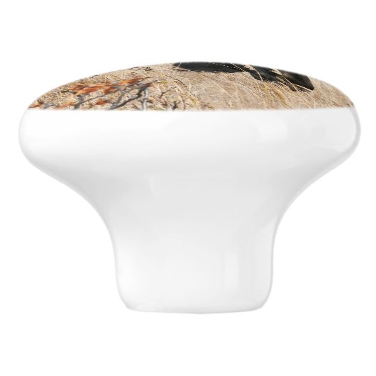 Grazing Bull Moose Keramische Knop (Zijkant)