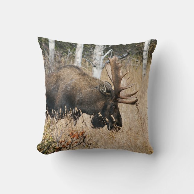 Grazing Bull Moose Kussen (Voorkant)
