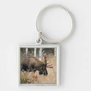Grazing Bull Moose Sleutelhanger