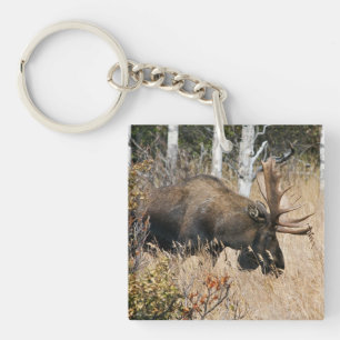 Grazing Bull Moose Sleutelhanger