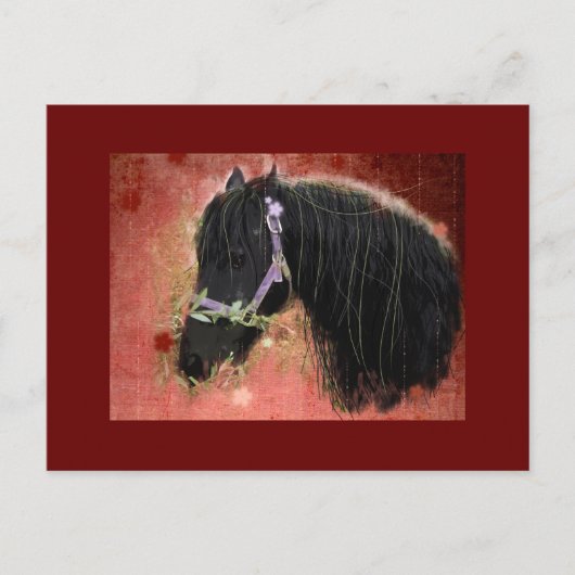 Grazing dans les champs - Carte postale (Devant)