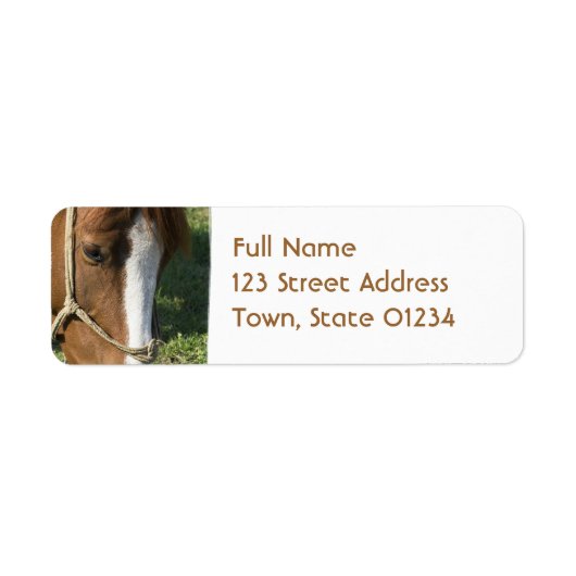 Grazing Draft Paard retour adres Mailing Label (Voorkant)