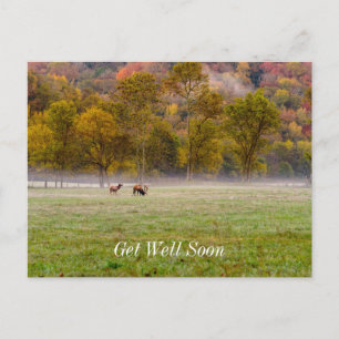 Grazing Elk Koppel Beterschap Wenskaart Briefkaart