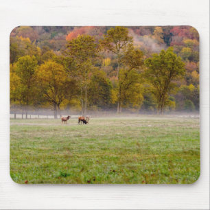 Grazing Elk Paar Mousepad Muismat