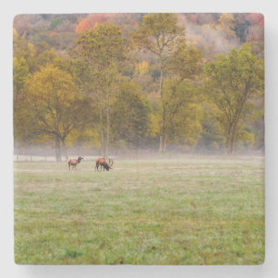 Grazing Elk Paar Steen Onderzetter