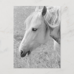 Grazing grijs briefkaart