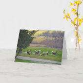 Grazing in Autumn Greeting Card Kaart (Gele Bloem)