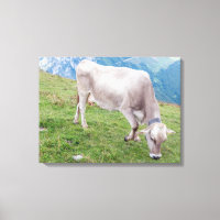 Grazing koe uitzicht canvas print