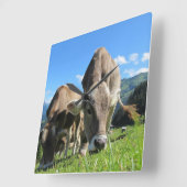 Grazing Koekklok Vierkante Klok (Hoek)