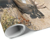Grazing Moose Cadeaupapier (Rol Hoek)