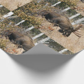 Grazing Moose Cadeaupapier (Hoek)