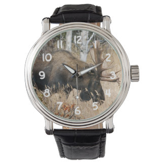 Grazing Moose Horloge
