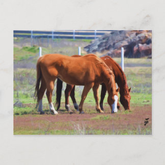 Grazing Paar Briefkaart