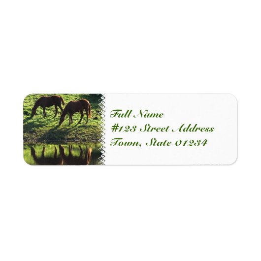 Grazing Paard Mailing Label (Voorkant)