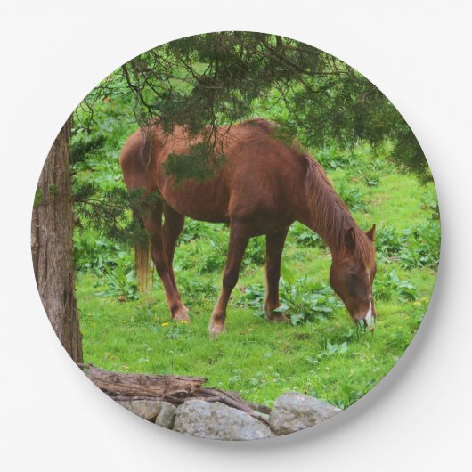 Grazing Paard Papier Bord (Voorkant)