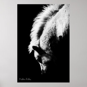 Grazing Pony, fijne kunstfoto Poster