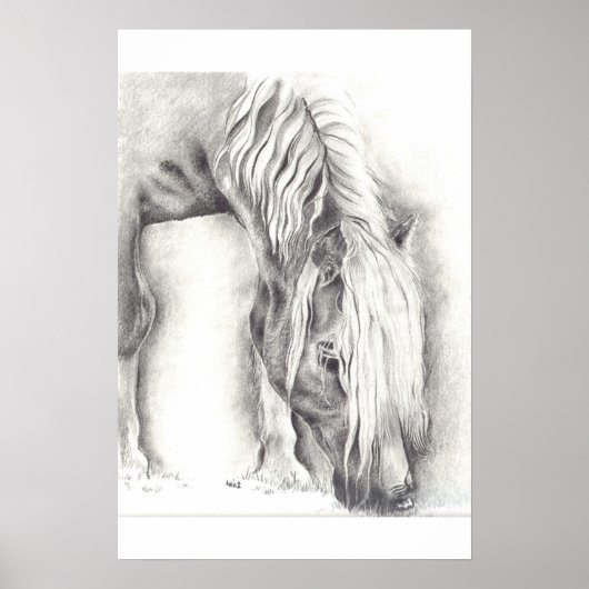 Grazing Pony Poster (Voorkant)