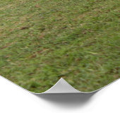 Grazing Poster (Hoek)