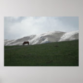 Grazing Poster (Voorkant)