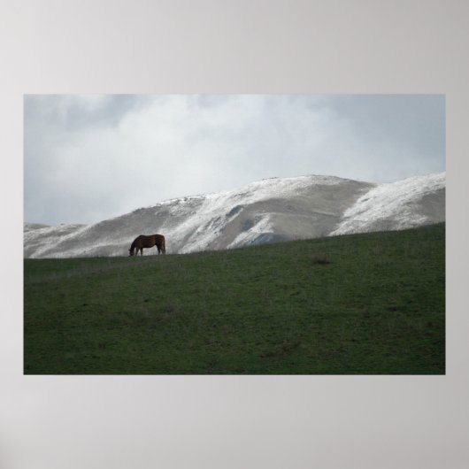 Grazing Poster (Voorkant)