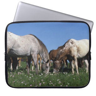 Grazing van Appaloosa-paarden Laptop Sleeve