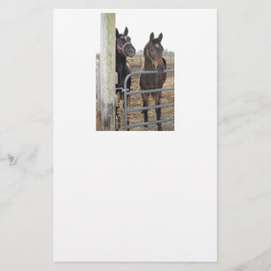 Grazing van paarden briefpapier