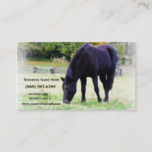 Grazing van zwarte paarden visitekaartje