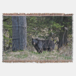 Grazing Wilde Black Beer Wildlife Foto Deken