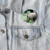 Grazing Witte Button (In situ)