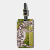 Grazing Zebra Bagagelabel (Voorkant verticaal)
